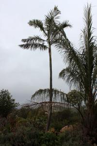 IMG_3723.JPG